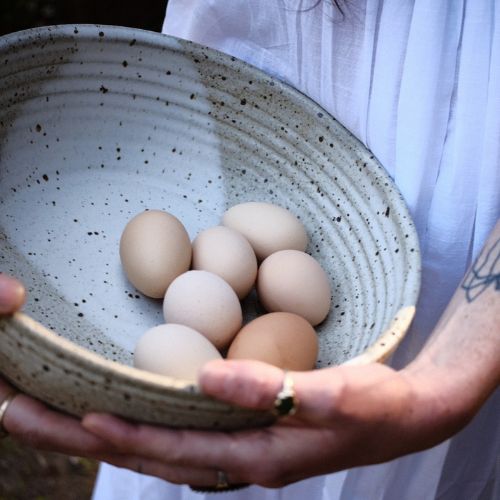 Mixing Bowl 11" x 3.5" - Colleen Hennessey