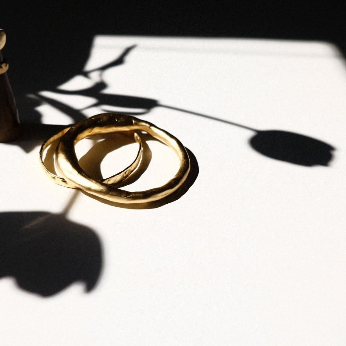 Guana Bangle in Gold - Takara