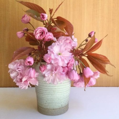 Vase - Colleen Hennessey