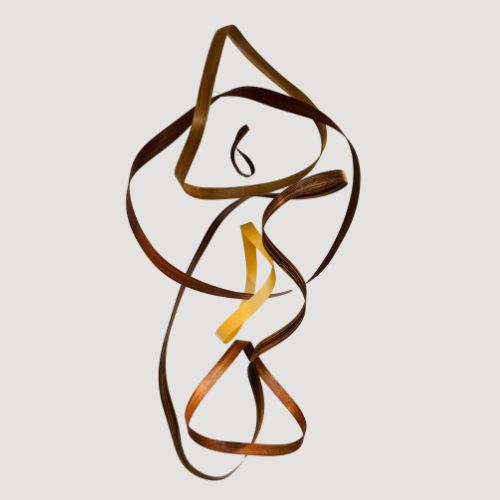 Mobius Mobile #268 -Donald Jerub